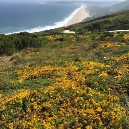 Villa Ruime Rustige Met Uitzicht Nazare En Zwembad Famalicão